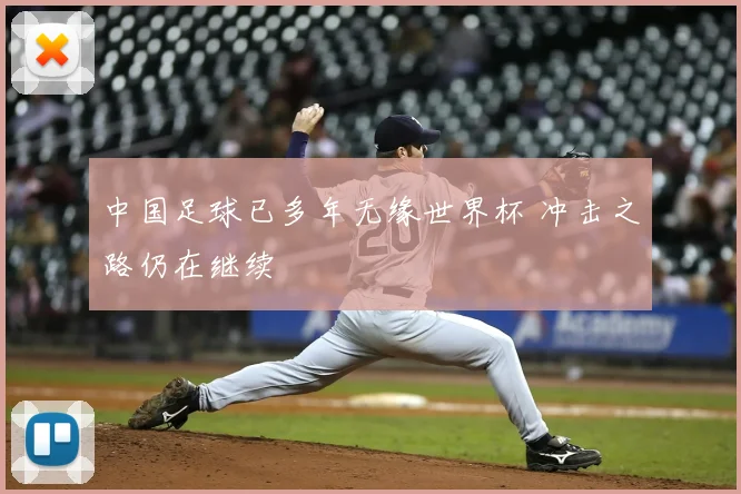 中国足球已多年无缘世界杯 冲击之路仍在继续