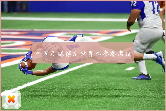 中国足球锁定世界杯参赛席位