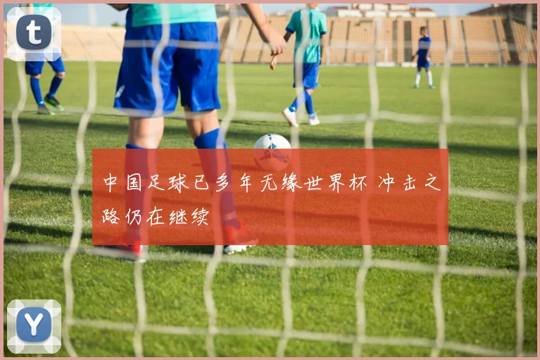 中国足球已多年无缘世界杯 冲击之路仍在继续