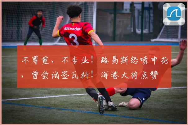 不尊重、不专业!路易斯怒喷申花,曾尝试签瓦科!海港大将点赞